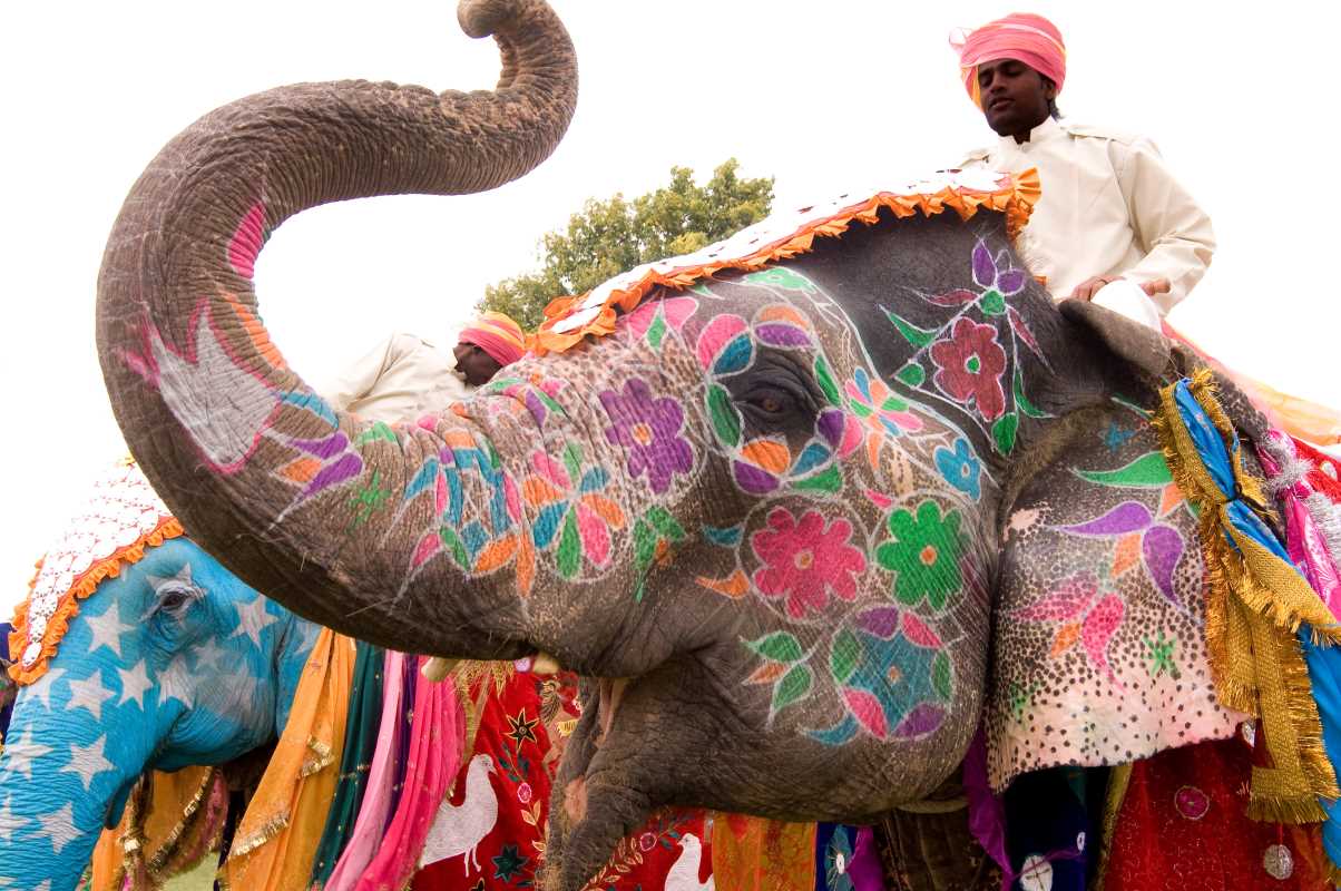 Must-Visit Cultural Festivals That Celebrate Local Traditions and Heritage